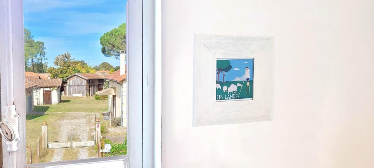 Charmante Maison Dans Les Landes X 10 Avec Piscine Et Salle D Escalade Lue المظهر الخارجي الصورة